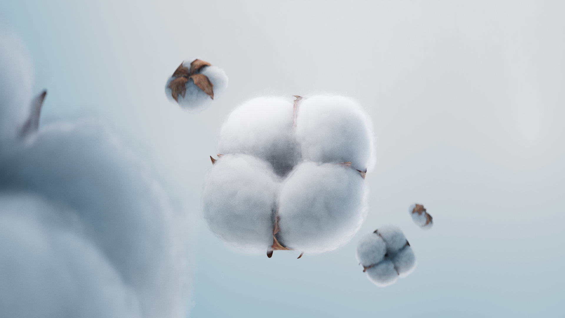 Lenor Cotton